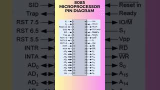 8085 microprocessor pin diagram [upl. by Elatia]