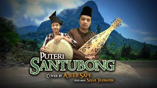 Lagu Rakyat Sarawak  Puteri Santubong Instrumental Sape  Ajeeb Sape [upl. by Araj]