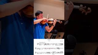 Tzigane  Ravel classicalmusic violinist violin violinmusic violino [upl. by Ahs]