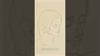 Sensorium Art amp Solo Piano Music by SYC pianomusic solopiano artmusic drawingmusic artpiano [upl. by Minica]