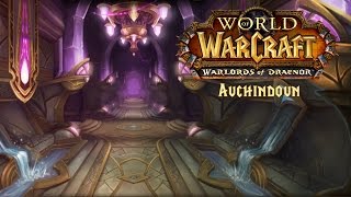 Warlords of Draenor  Auchindoun Walkthrough Guide [upl. by Omero462]