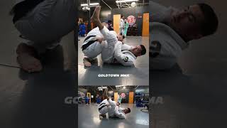 Cobrinha Brazilian Jiu Jitsu Academy Las Vegas 🥋 [upl. by Neenaej]