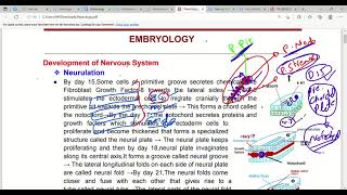 Neurodevelopment amp Embryology Nervous System In First Aid  Lec1 [upl. by Hcirteid]