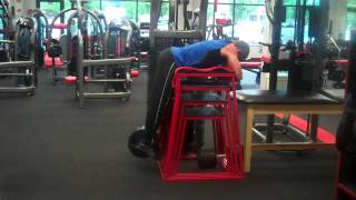 Reverse Hyperextensions Weighted [upl. by Athenian]