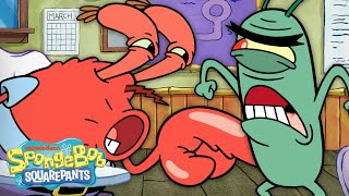 Mr Krabs amp Plankton in Boating School 🚤  quotTeachers Pestsquot Full Scene  SpongeBob [upl. by Tiffani]