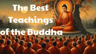 Buddhism Podcast  The Best Teachings of the Buddha  Mind Podcast [upl. by Tisdale614]