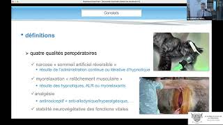 02 One Health et le concept dquotopioid free anesthesiaquot [upl. by Iliram]