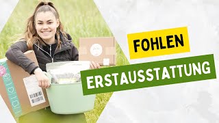 ERSTAUASTATTUNG fürs Pferd 🤩💸  Haul [upl. by Godliman]