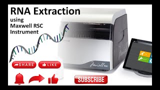 RNA Extraction using automated Promega Maxwell RSC Instrument [upl. by Gerardo]