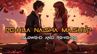 Pehla Nasha Mashup  Slowed And Reverb  Lofi Mix  LeoLofi4444 [upl. by Goldman305]