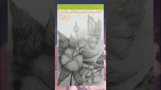 Pencil shading flower senery drawing pencilsketches art artist flower SCAAS45 [upl. by Clarhe747]