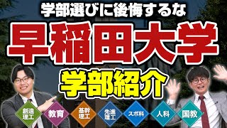 【留学が必須】全学部紹介！早稲田大学の学部別特徴を徹底解説【後編】 [upl. by Nommad]