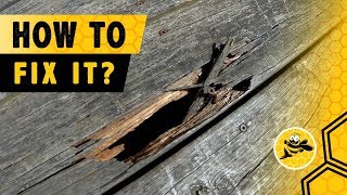 How to Repair Damaged Deck Boards That Rot or Have Holes [upl. by Nerrol]