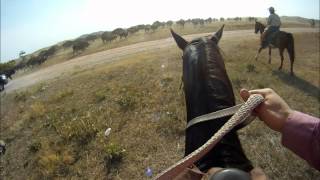 GoPro Hero Horseback Buffalo Roundup 2012 [upl. by Norehs]