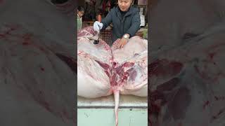 Pork cut  The best piece of meat  Slicing Pork  fresh pork pig Nov 29 [upl. by Weksler696]