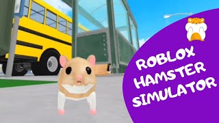 Играю в РОБЛОКС в образе хомяка 🐹😜 Roblox hamster [upl. by Biamonte757]