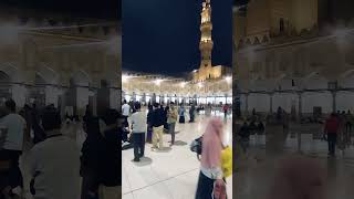 Beautiful Al Azhar Mosque alazhar mosque egypt alashraf shorts reels مصر alashrafinstitute [upl. by Phyllida]