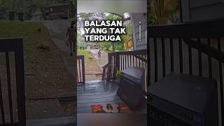 Balasan yang tak terduga shortvideo [upl. by Nolos]