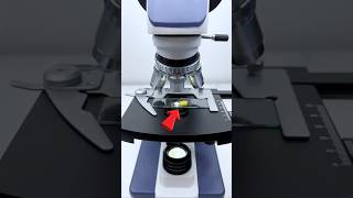 Boiled egg microscope 👀😳 shorts ytshorts trending viarlshorts [upl. by Chretien257]