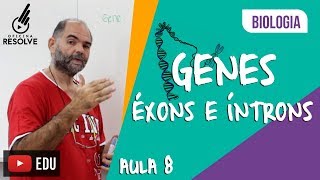 Éxons e Íntrons  Gene Ação diferencial do gene na formação do RNA [upl. by Barayon]