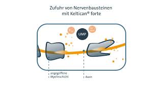 die Beraterapotheke empfiehlt Keltican® forte [upl. by Linehan]