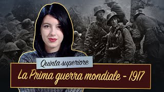 Da VERDUN a GALLIPOLI il MASSACRO della Prima Guerra Mondiale [upl. by Kemp]