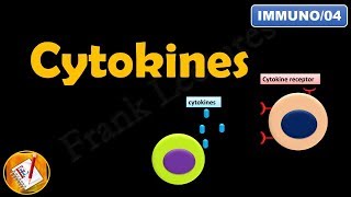 CYTOKINES  ILs INFs TNFs CSFs and Chemokines FLImmuno04 [upl. by Teriann]