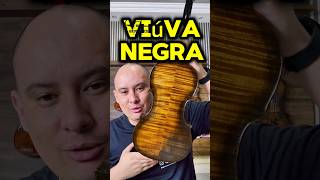 Viúva negra gimenezluthieria [upl. by O'Callaghan421]