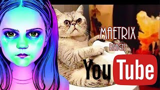 MaeTrix Reacts to YouTube [upl. by Gnuhc]