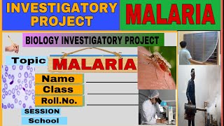 MALARIA—An Investigatory Project Class 12 Biology 30 th Project by Neerja [upl. by Rexford]