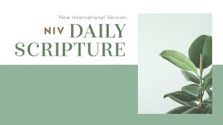 NIV Daily Scripture from Zondervan Bibles [upl. by Dippold]