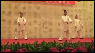 Wudang Wushu  Wudang Sanfeng Pai [upl. by Julianne462]