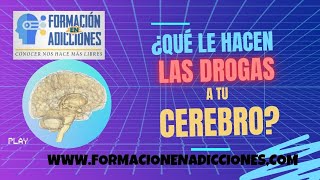 ¿Qué le hacen las drogas a tu cerebro Neurobiología de las adicciones [upl. by Aisset764]