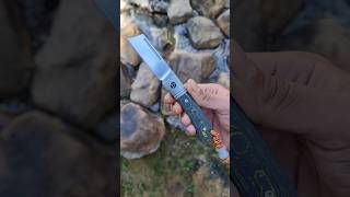 QSP Exclusive Hedgehog Knife CamoCarbon Gecko M390 knives knife edc slipjoint EveryDayCarry [upl. by Arissa]