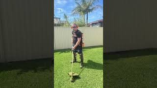 The Whipper Snipper Dude Stop Motion Animation foryou stihl brushcutter stopmotion aphextwin [upl. by Milissa]