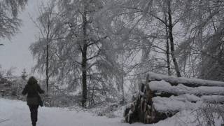 Wanderung im Winterwald [upl. by Sierra287]