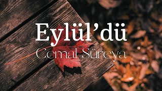 Cemal Süreya  Eylüldü Şiir [upl. by Aicnetroh808]