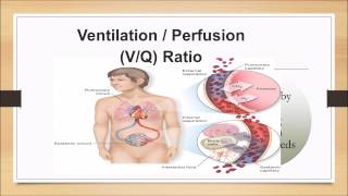 Pathophysiology for the EMT Lecture [upl. by Llehsim728]