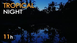 Tropical Night  Jungle Lake Sounds for Sleeping  Frogs amp Crickets  11 Hours  Relaxing Nature [upl. by Ardekan]