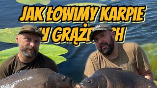 Jak łowimy karpie w grążelach Vlog8 [upl. by Adnohser]