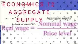 ECONOMICS 12 NEW CURICULUMThe Aggregate Supply Puzzle Explained [upl. by Riabuz]