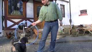 Dog Tricks mit Glückspudel HannaH [upl. by Kai]