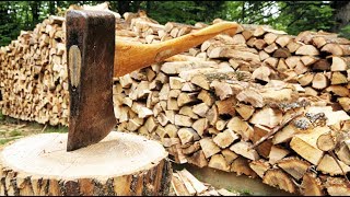 Axe Through a Wood  Splitting Axe in SUPER SLOW MOTION 960 fps [upl. by Yrelbmik]