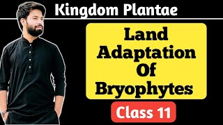 Land Adaptation Of Bryophytes  Rhizoids  Class 11 [upl. by Marian]