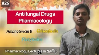 26 Pharmacology of Antifungal Drugs in தமிழ்  Amphotericin B  Griseofulvin  Flucytosine [upl. by Collete]