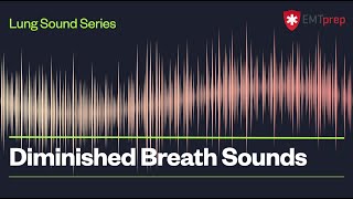 Diminished Breath Sounds  EMTprepcom [upl. by Richelle381]