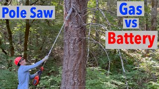 Gas Pole Saw vs Battery  Which is Best [upl. by Adnot]