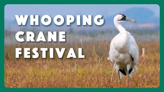 Port Aransas Whooping Crane Festival [upl. by Ayhtin]