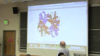 6 Biochemistry Lecture Hemoglobin from Kevin Aherns BB 350 [upl. by Dlnaod924]