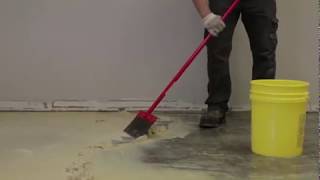 Removing Carpet amp Carpet Adhesive with Sentinel 626 [upl. by Matti844]